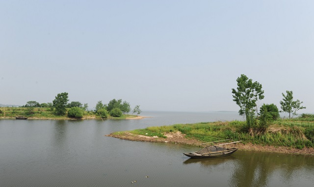95.jpg