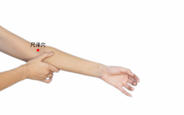 尺泽.jpg