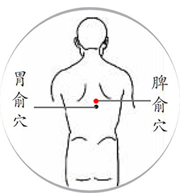 脾俞穴.jpg