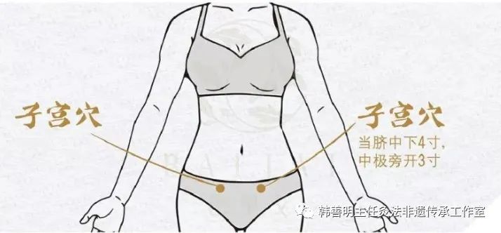 子宫.jpg