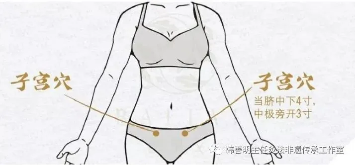 子宫