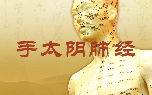 经络动画