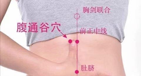 一个穴位，让你从咽喉到肛门，一路畅通无阻，原来长寿很简单