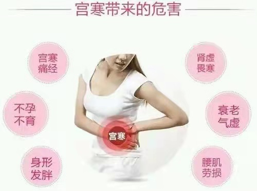 蕲艾穴位灸之——宫寒不孕