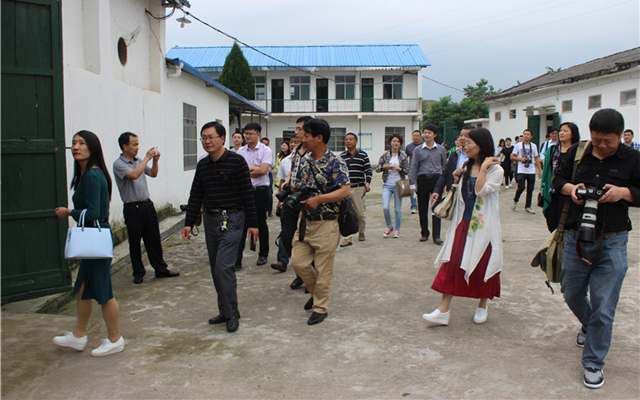 自媒体达人共聚千年艾体验蕲艾神奇之旅