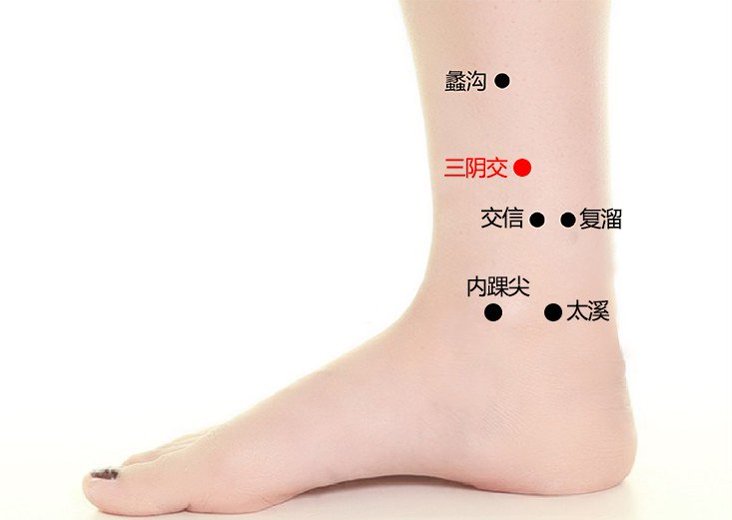三阴交穴定位图