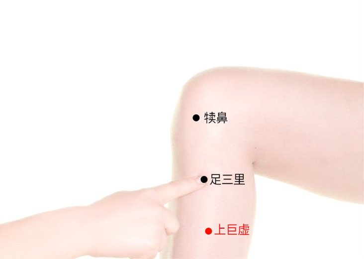 上巨虚穴定位图