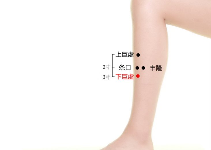 下巨虚穴定位图