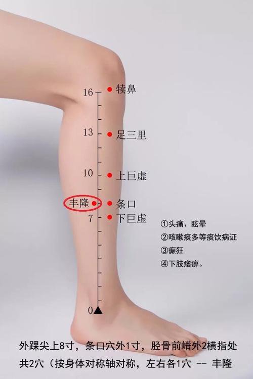 丰隆穴定位图